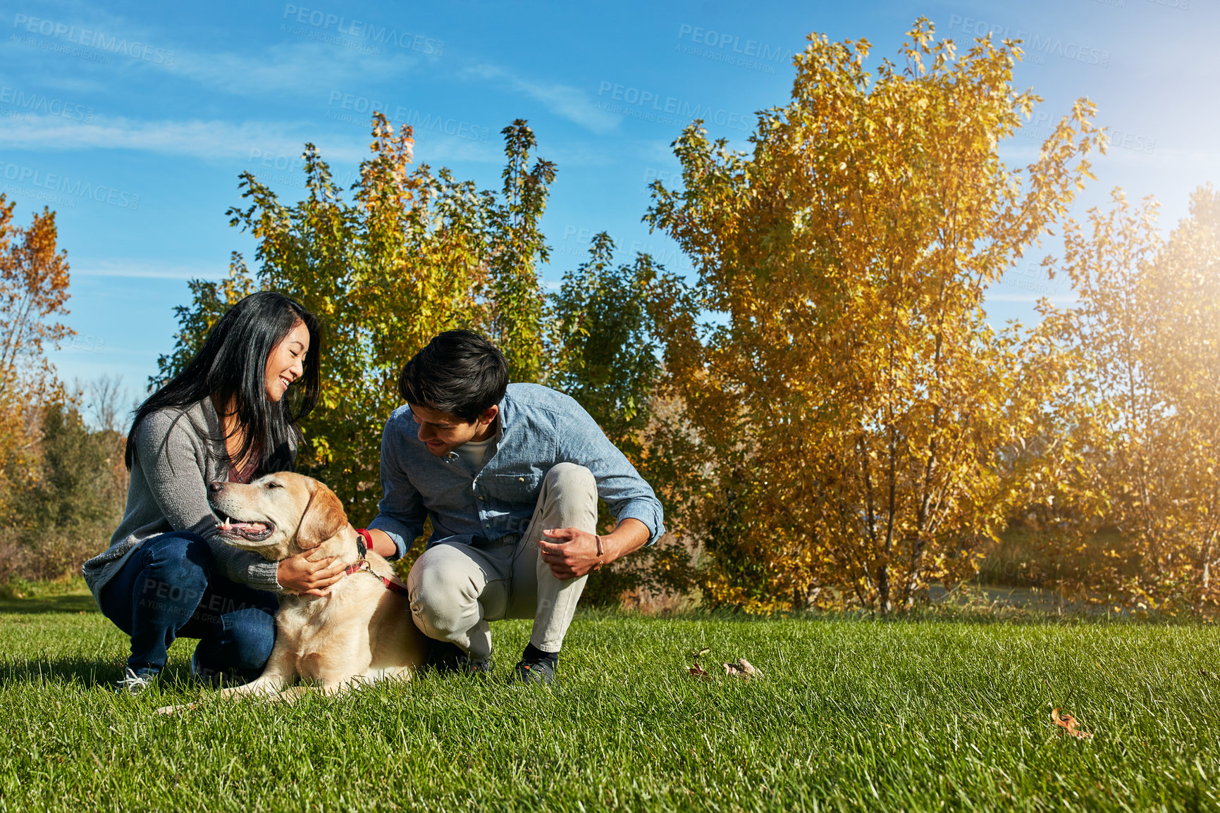 Buy stock photo Dog, rub or couple in nature with smile, pet care or bonding in weekend activity. Happiness, canine affection and people in park with Labrador puppy, connection and outdoor date with animal companion