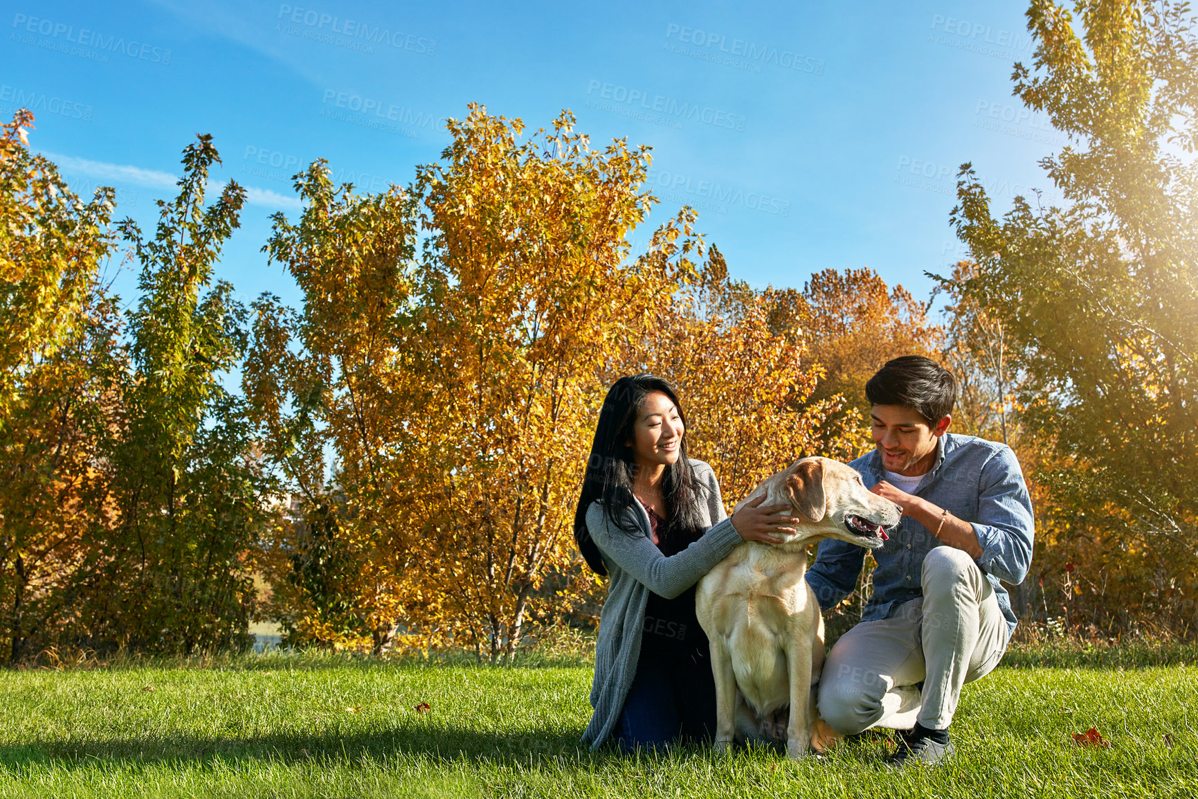 Buy stock photo Shot of a loving young couple taking their dog for a walk through the park