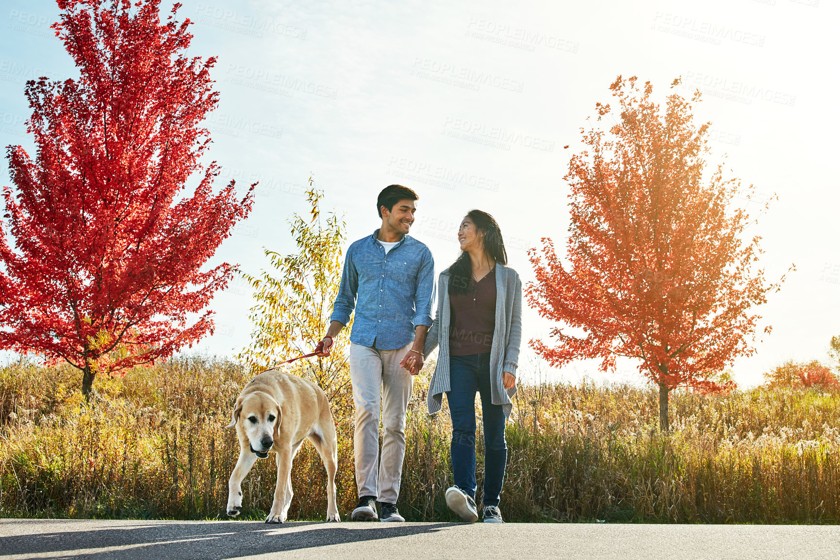 Buy stock photo Shot of a loving young couple taking their dog for a walk through the park