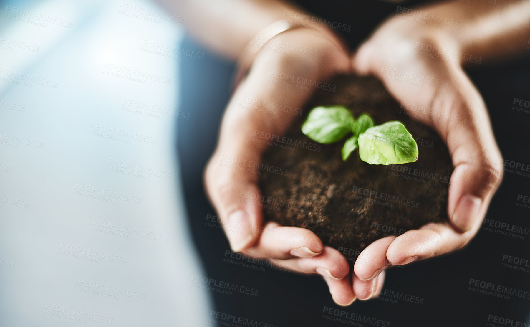 Buy stock photo Closeup shot of an unrecognizable businesswoman holding a plant growing out of soil