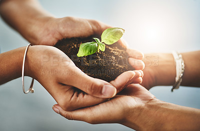 Buy stock photo Sustainability, support and trust with green plant in hands for growth, collaboration and future in nature development as a community. Earth, soil and innovation team with mission and vision