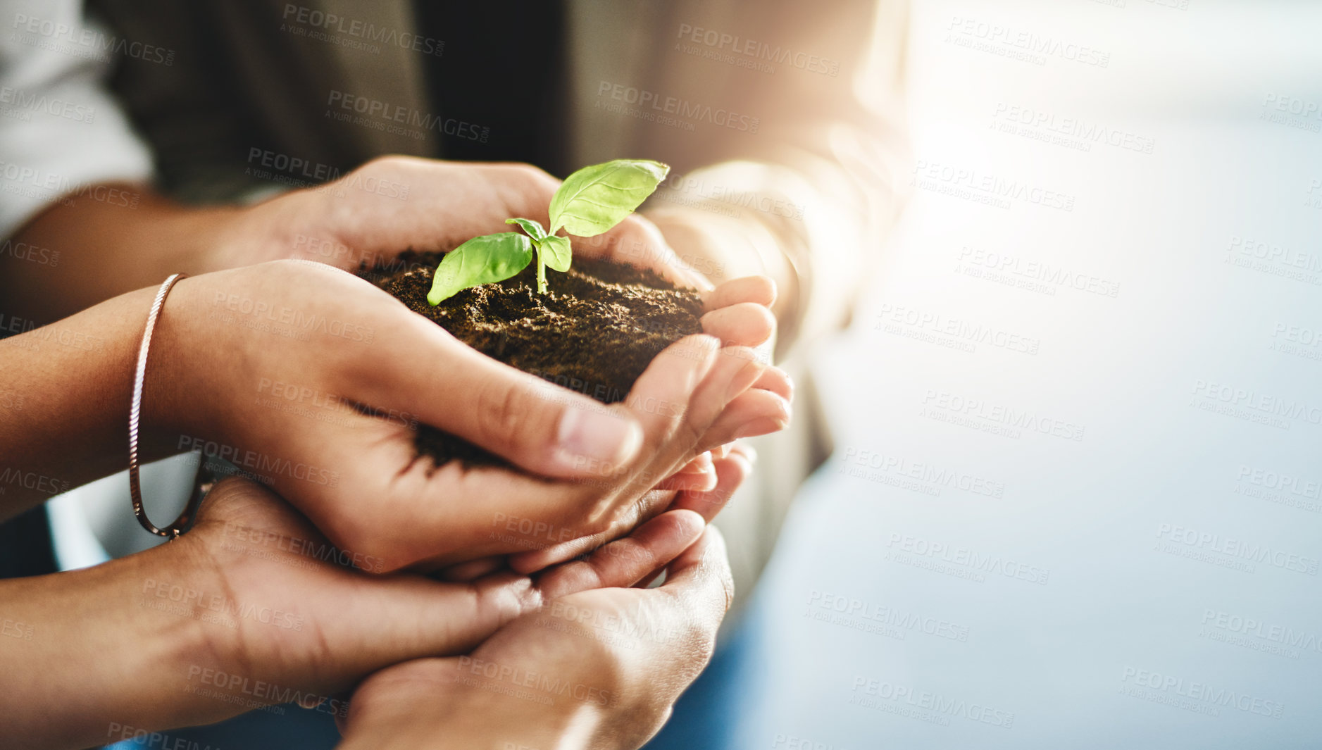 Buy stock photo Closeup shot of an unrecognizable group of businesspeople holding a plant growing out of soil