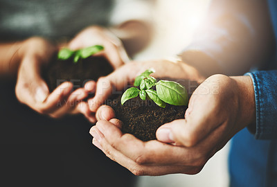 Buy stock photo Closeup shot of two unrecognizable businesspeople holding plants growing out of soil