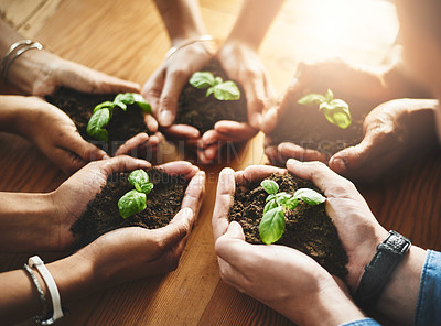 Buy stock photo Hands holding fresh green plants in circle huddle for healthy growth, organic planting or sustainable development. Closeup of diverse group of environmental scientists with net zero carbon footprint