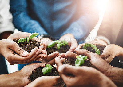 Buy stock photo Closeup shot of an unrecognizable group of businesspeople holding plants growing out of soil