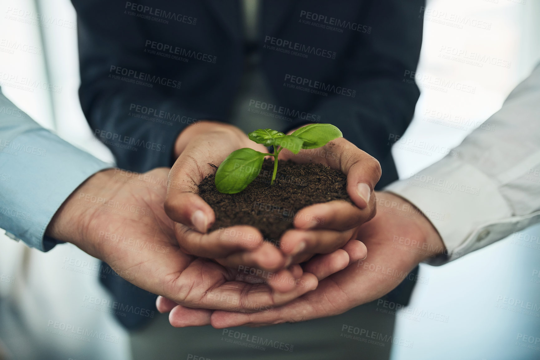 Buy stock photo Cropped shot of a group of businesspeople holding a plant growing out of soil