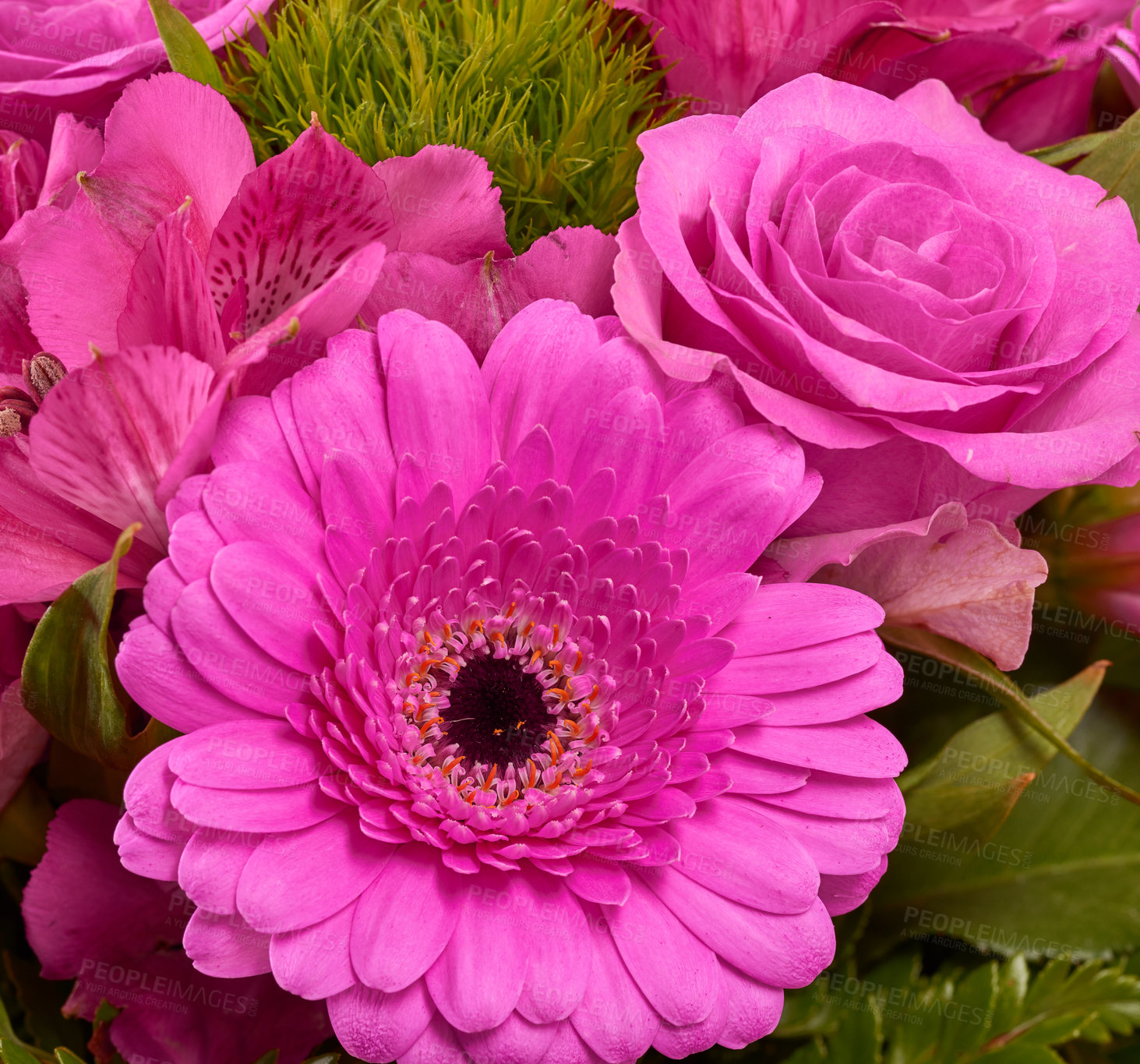 Buy stock photo Bouquet with different kind of flowers