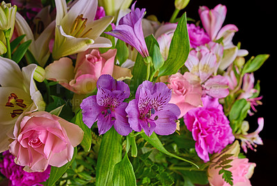 Buy stock photo A bouquet of appreciation