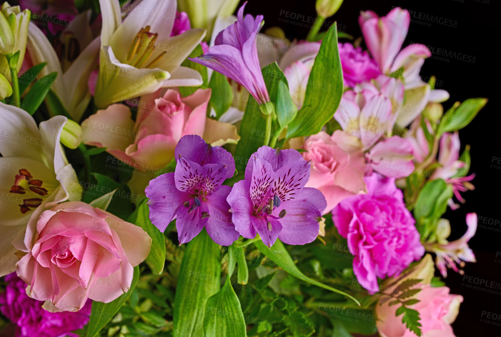 Buy stock photo A bouquet of appreciation