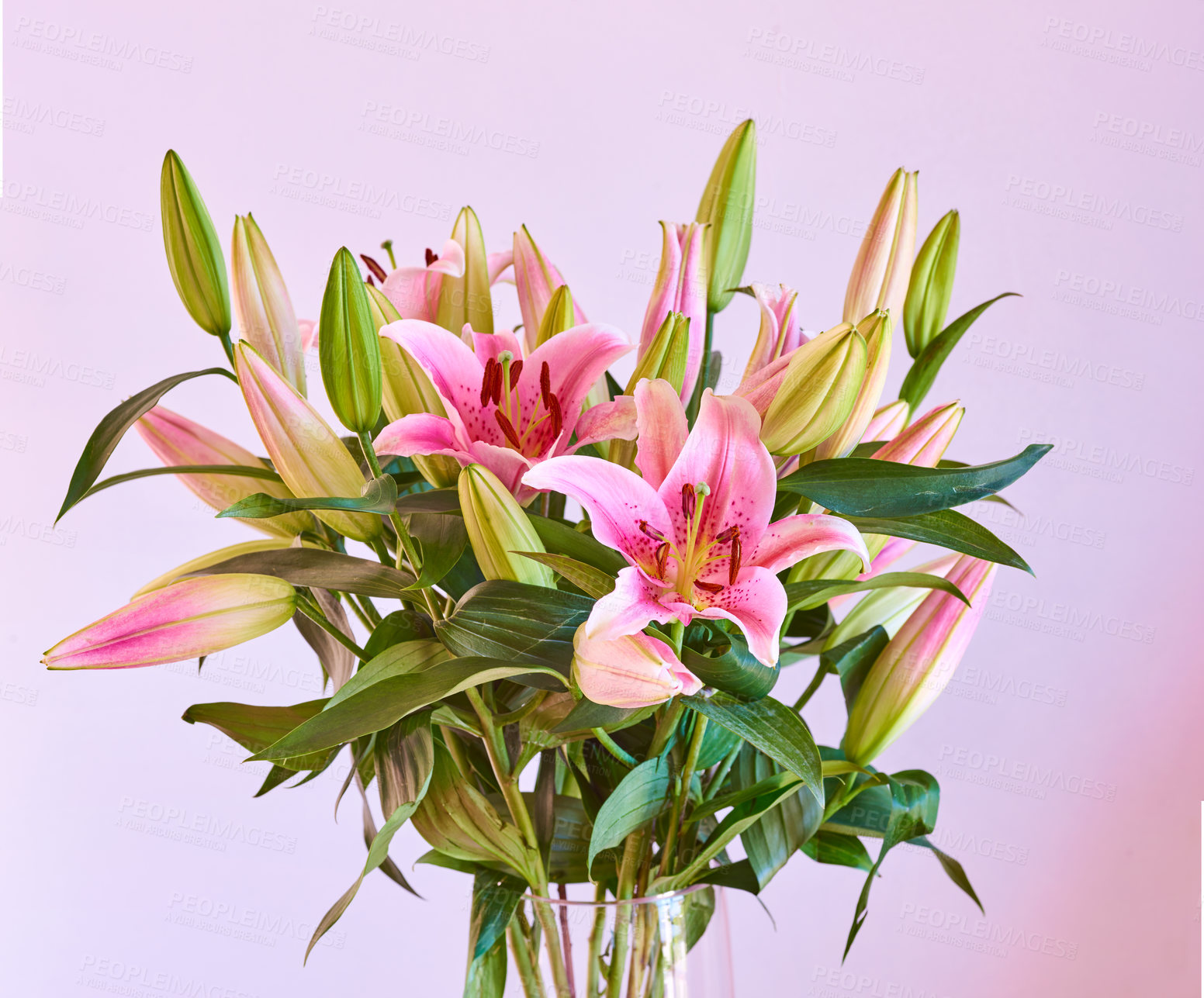 Buy stock photo A bouquet of appreciation