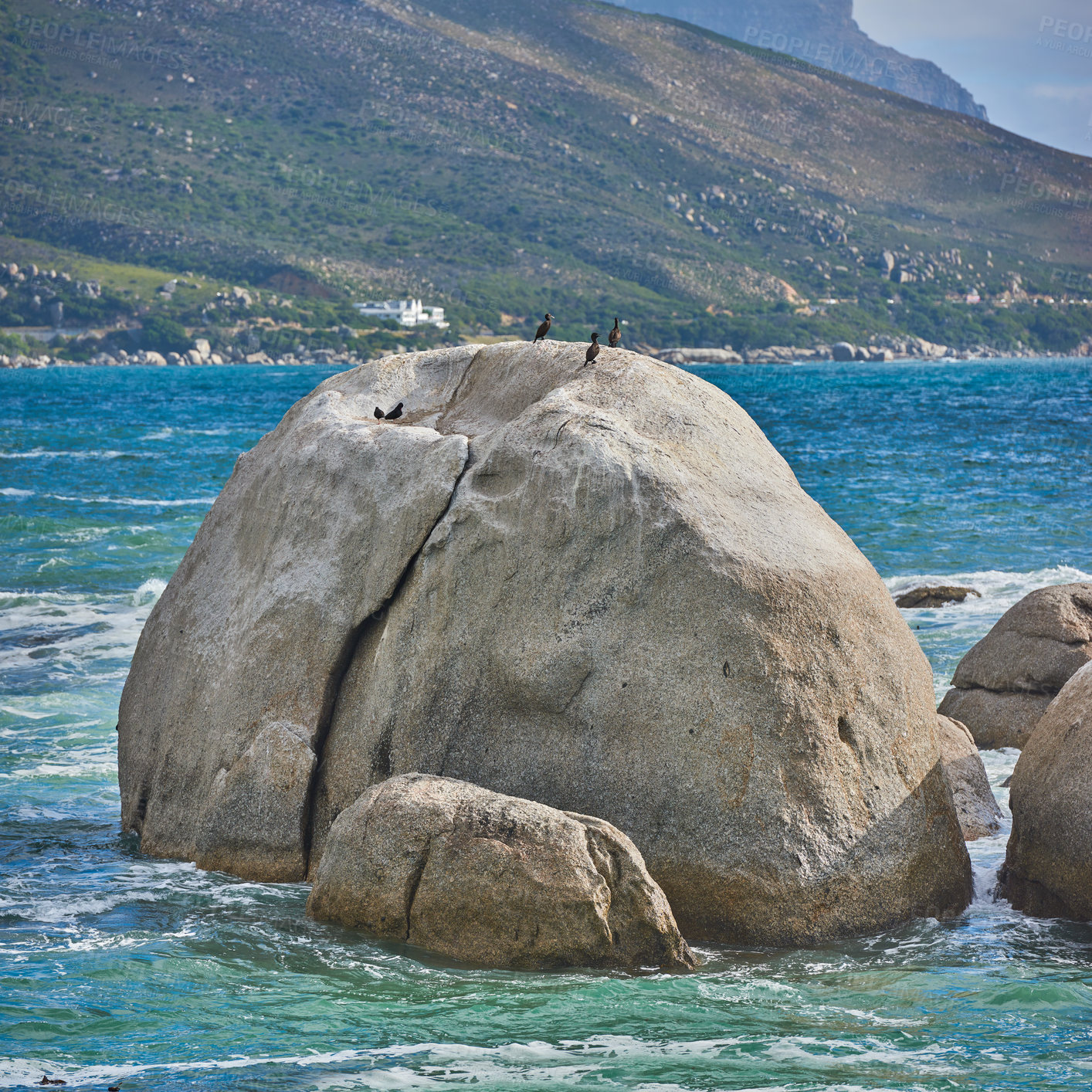 Buy stock photo Seascape view with blue ocean water and wild birds sitting on boulders and rock on Camps Bay beach, Cape Town, South Africa. Avian wildlife, ducks and tidal sea waves washing around a rocky shoreline