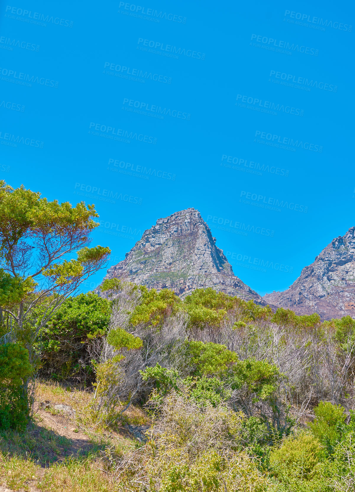 Buy stock photo Scenic mountain landscape view with blue sky with copy space of Twelve Apostles in Cape Town, South Africa. Famous steep hiking, trekking terrain with growing trees and bushes. Travel and tourism