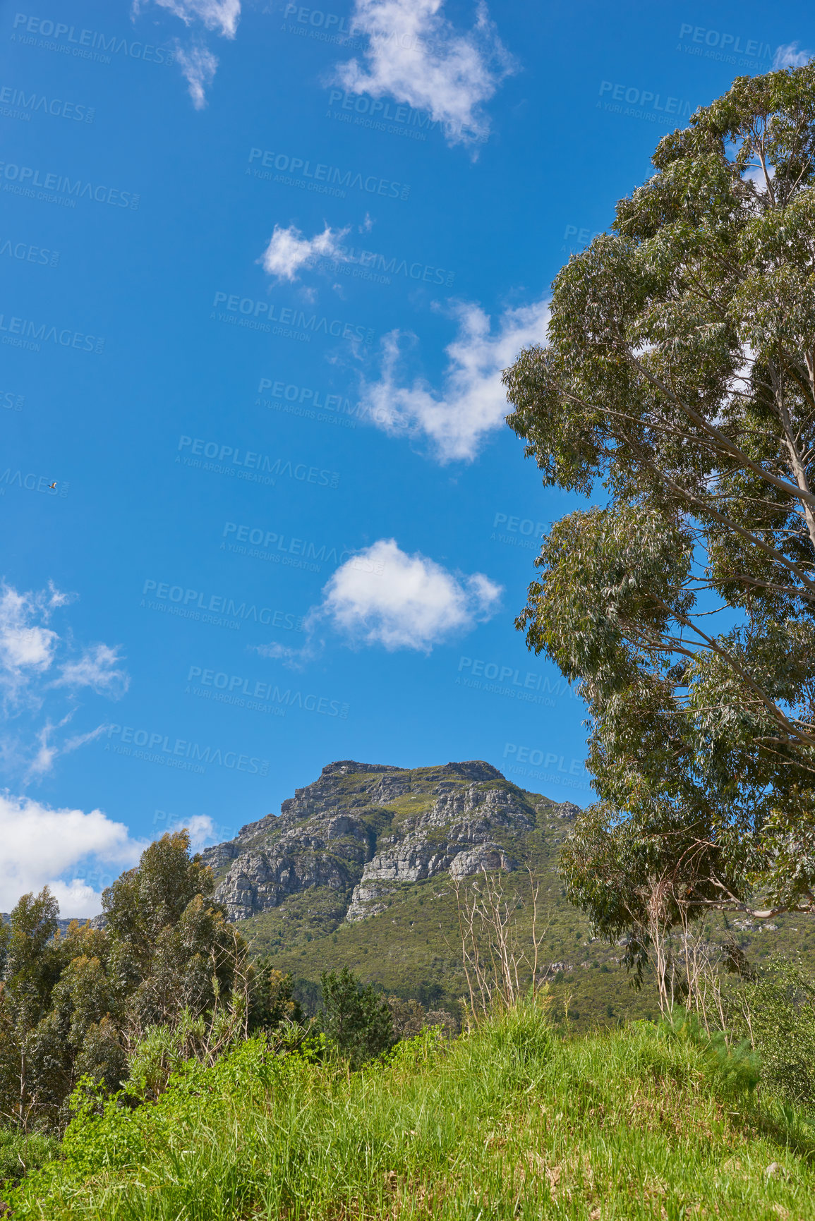 Buy stock photo Scenic landscape of Twelve Apostles mountain under clear blue sky copy space in Cape Town. Famous steep hiking, and trekking terrain with growing trees, shrubs, and bushes. Travel and tourism.