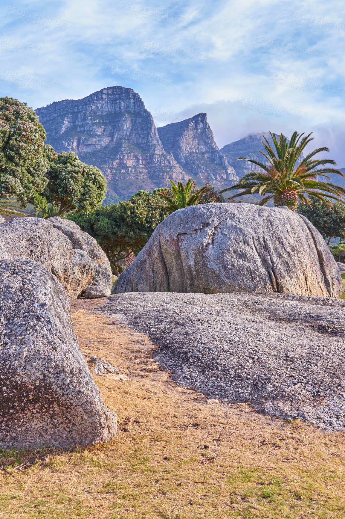 Buy stock photo Camps Bay, Table Mountain National Park, Cape Town, South Africa during suet on a summer day. Rocks and boulders against a majestic mountain background with lush green palm trees and a clear blue sky