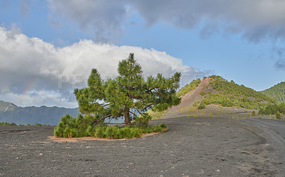 Buy stock photo Beautiful lava landscape on the Cumbre Nueva in La Palma