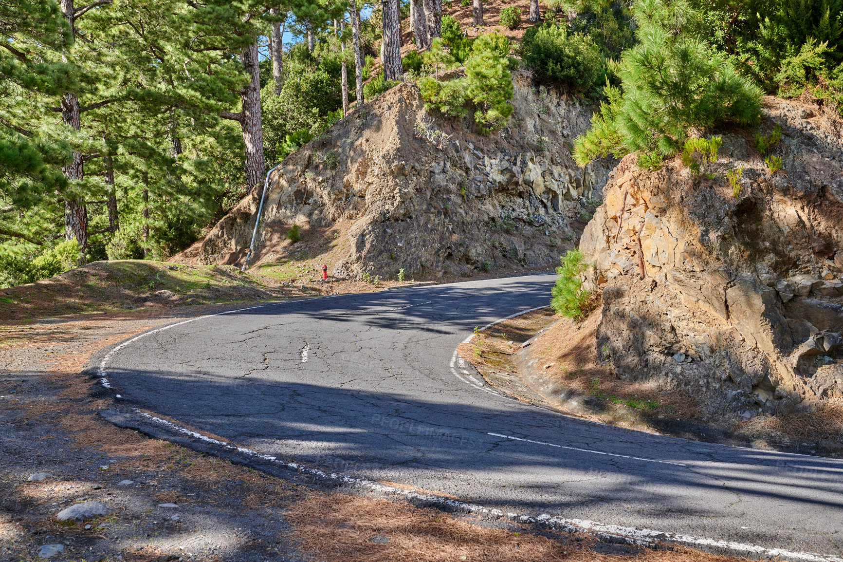 Buy stock photo Curving road or street along a steep mountain valley.  Winding pathway with sharp curve going up the hill with trees on both sides of the trail on a sunny day. Paths of pure adventure. Pine woodland.