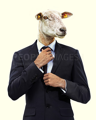 Buy stock photo Business, sheep head and man in suit, surreal and workaholic on yellow studio background. Follower, employee and consultant with fashion or forced labour with abstract art and statement on capitalism