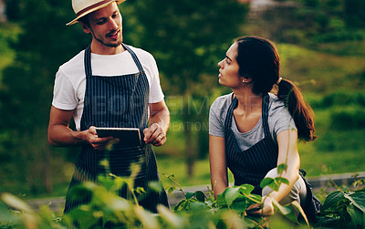 Buy stock photo Shot of a young couple using a digital tablet together while working in a garden