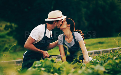Buy stock photo Shot of an affectionate young couple working in a garden together