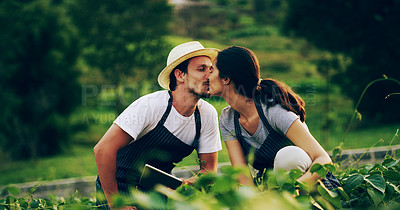 Buy stock photo Agriculture, kiss and sustainability with couple in field for environment, teamwork and farming. Love, health and partnership with man and woman in countryside for growth, cultivation and plant