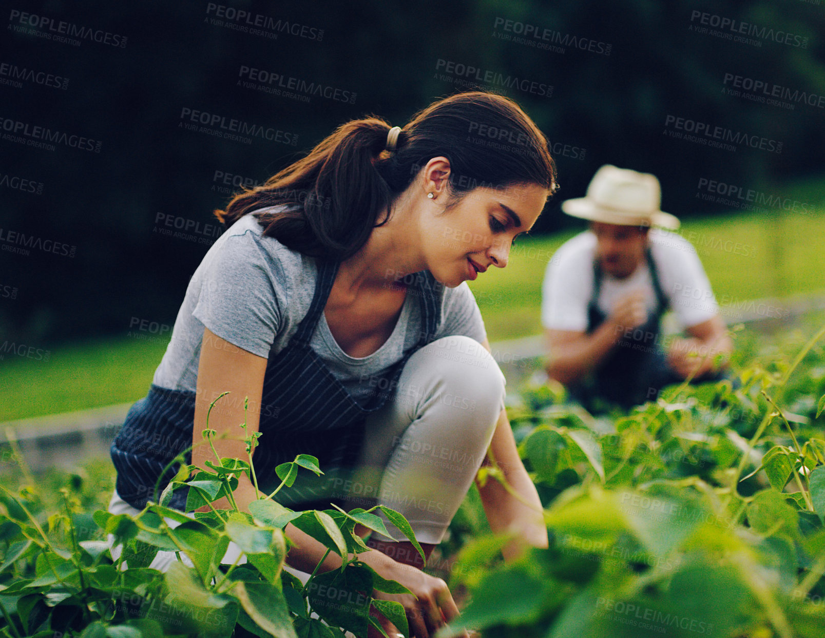 Buy stock photo Shot of a young woman working in a garden with her husband in the background