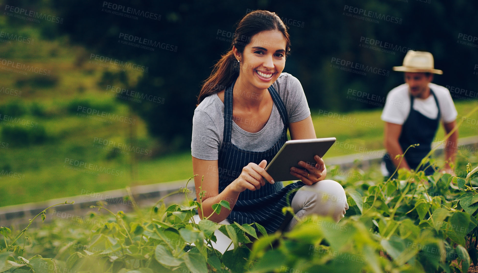 Buy stock photo Portrait of a young woman using a digital tablet while working in a garden with her husband in the background