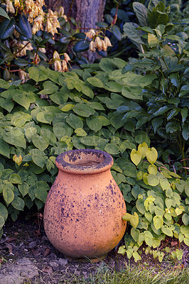 Buy stock photo In my garden - jar and flower pot