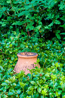 Buy stock photo Garden, jar and pot with leaves for natural botany, eco design or backyard decor in nature. Empty, plants or greenery with growth or vase for horticulture, feature or ceramic outdoor decoration