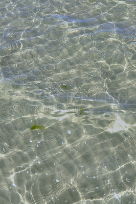 Buy stock photo Closeup of shallow waves on a coastline on a sunny day outside. Above view of sunlight reflecting on calm water ripples at beach. Clear liquid refracting sun rays in summer for copy space background