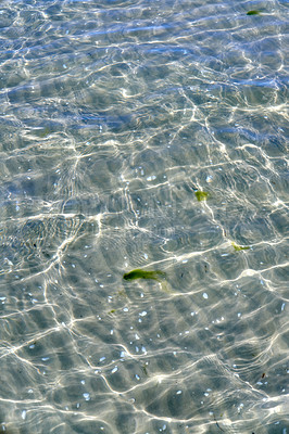 Buy stock photo Closeup of shallow waves on a coastline on a sunny day outside. Above view of sunlight reflecting on calm water ripples at beach. Clear liquid refracting sun rays in summer for copy space background