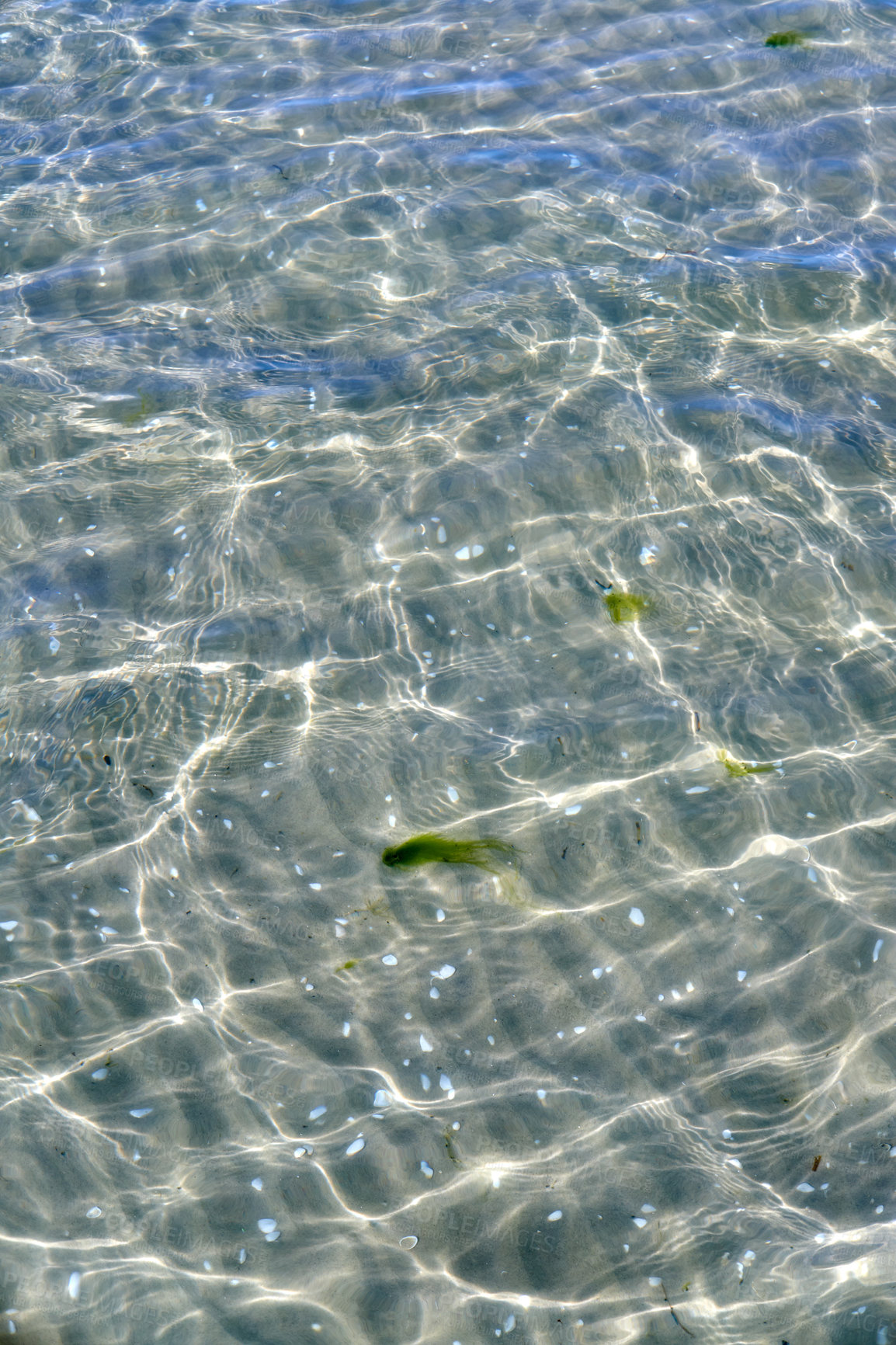 Buy stock photo Closeup of shallow waves on a coastline on a sunny day outside. Above view of sunlight reflecting on calm water ripples at beach. Clear liquid refracting sun rays in summer for copy space background