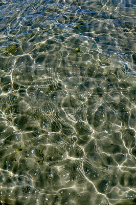 Buy stock photo A closeup of the shallow seabed with shells at the bottom, crystal clear water on the surface of a sea. Clear sparkling water reflects the sunlight in the ocean. Full view of clear lake water ground