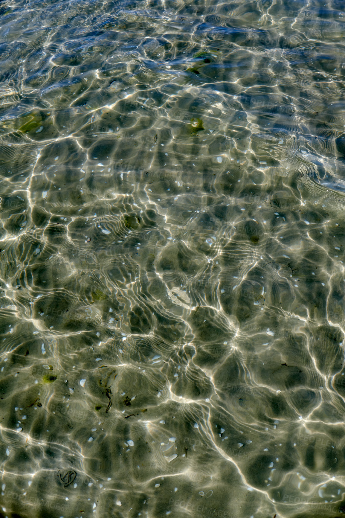 Buy stock photo A closeup of the shallow seabed with shells at the bottom, crystal clear water on the surface of a sea. Clear sparkling water reflects the sunlight in the ocean. Full view of clear lake water ground