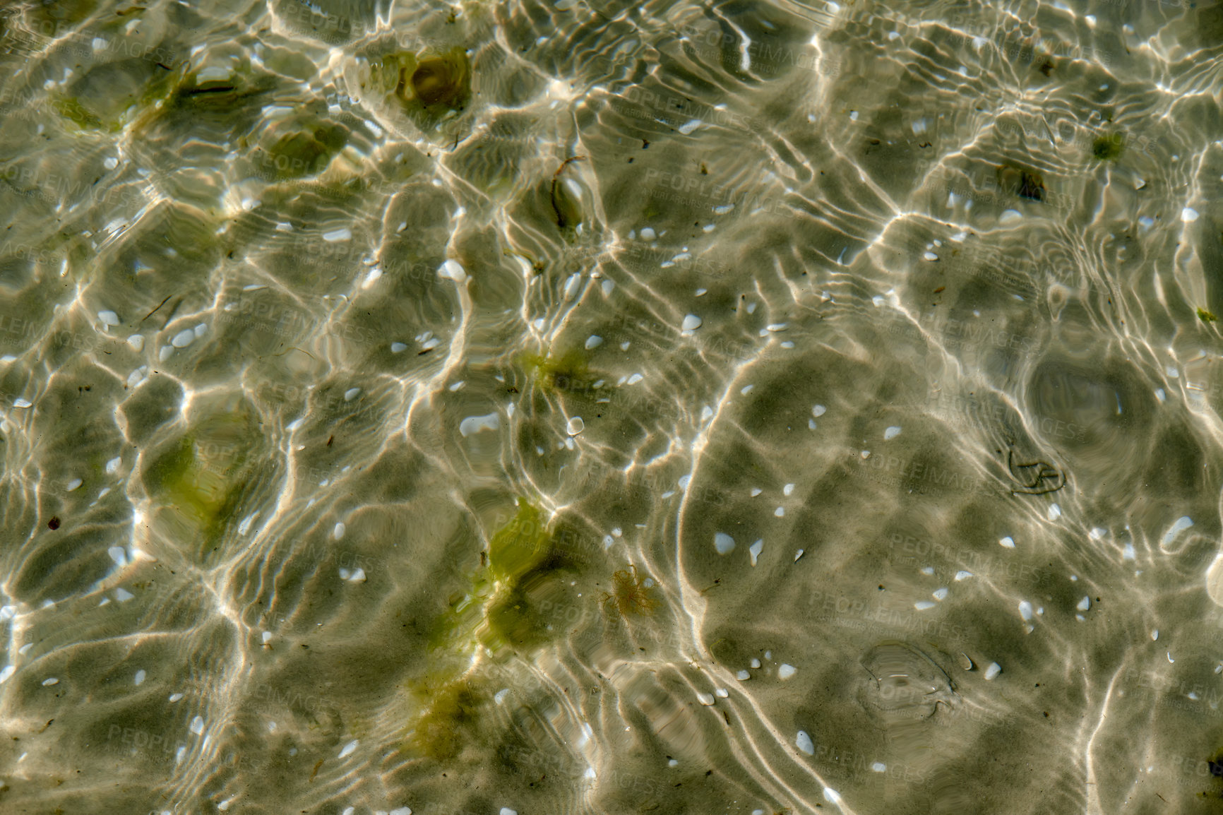 Buy stock photo Clear beach water on a summer day with copy space. Top view of calm low tide sea ripples during spring. Closeup of the bright sun reflection shining off the shallow ocean useful as a background