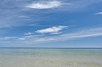 Beach Background