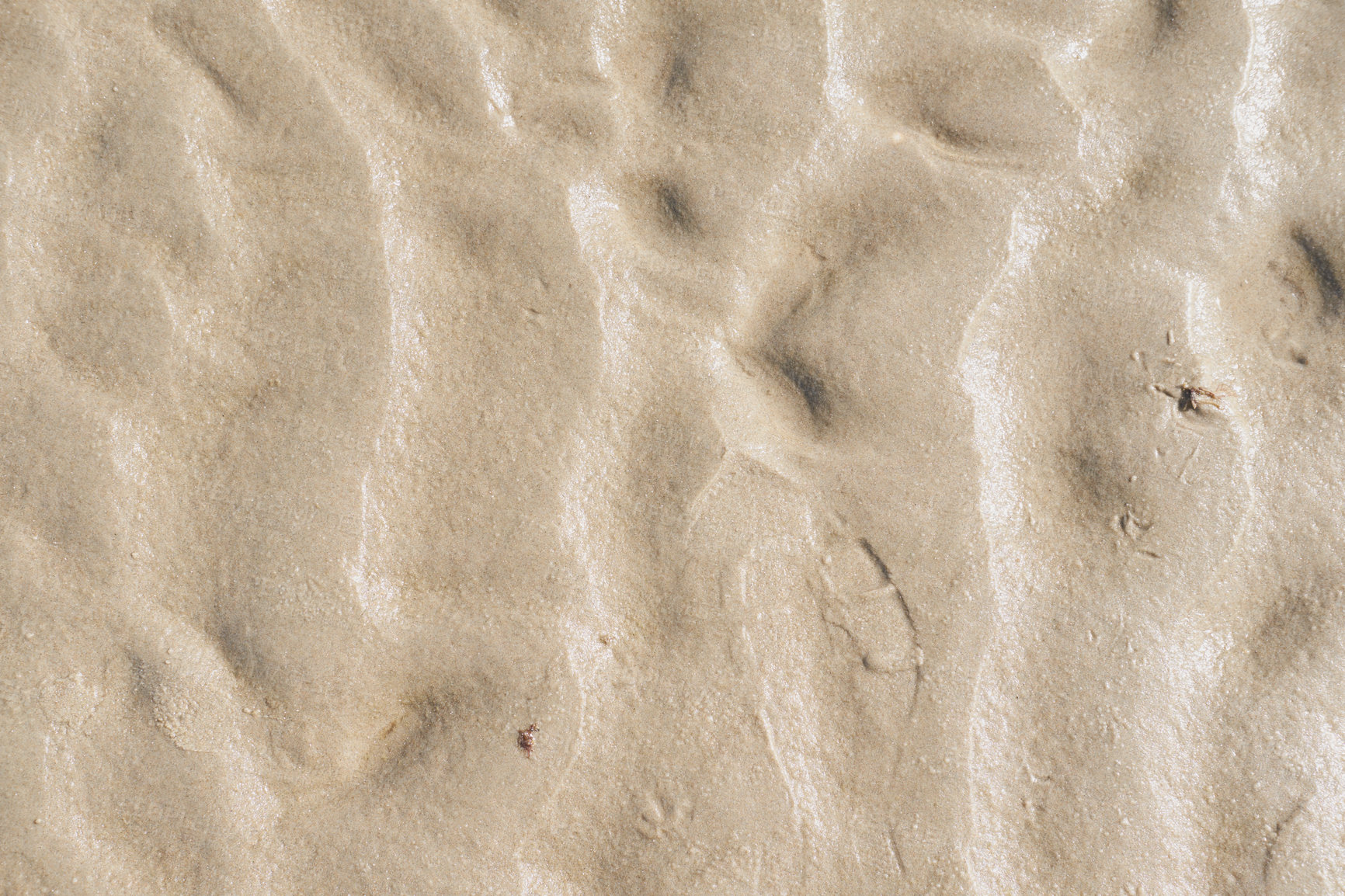 Buy stock photo Closeup of textured brown surface with copyspace. Details and patterns of sand or ground with copyspace. Zoom in on  shapes in the sand, texture and rough surface level flooring, abstract background