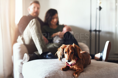 Buy stock photo Shot of a cheerful young family seated on a sofa together at home during the day