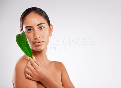 Buy stock photo Studio portrait of a beautiful young woman holding a eucalyptus leaf against a gray background