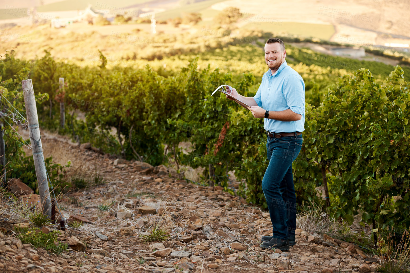 Buy stock photo Portrait of a farmer working in a vineyard