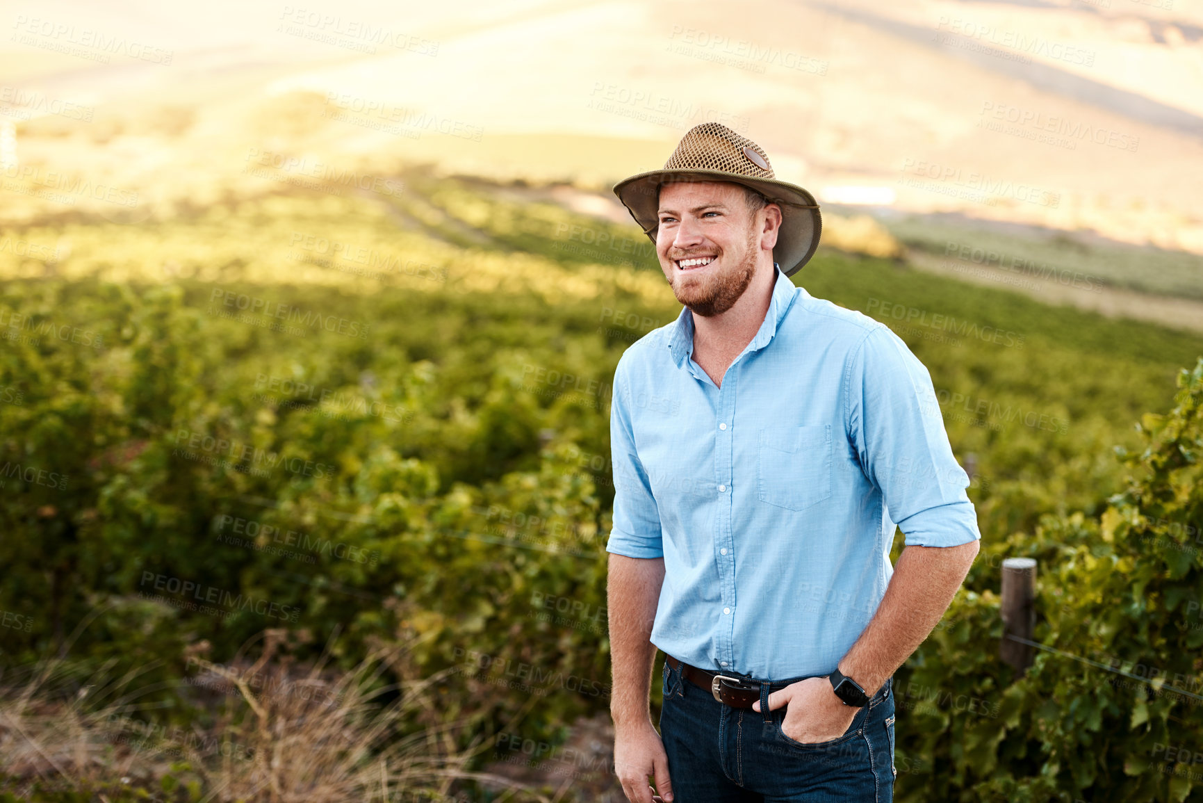 Buy stock photo Shot of a farmer standing in a vineyard