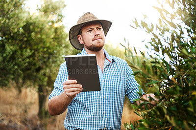 Buy stock photo Shot of a farmer using a digital tablet working in a vineyard