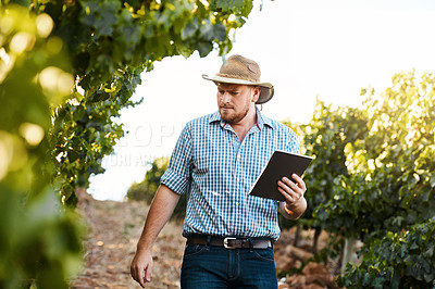 Buy stock photo Shot of a farmer using a digital tablet while doing his rounds