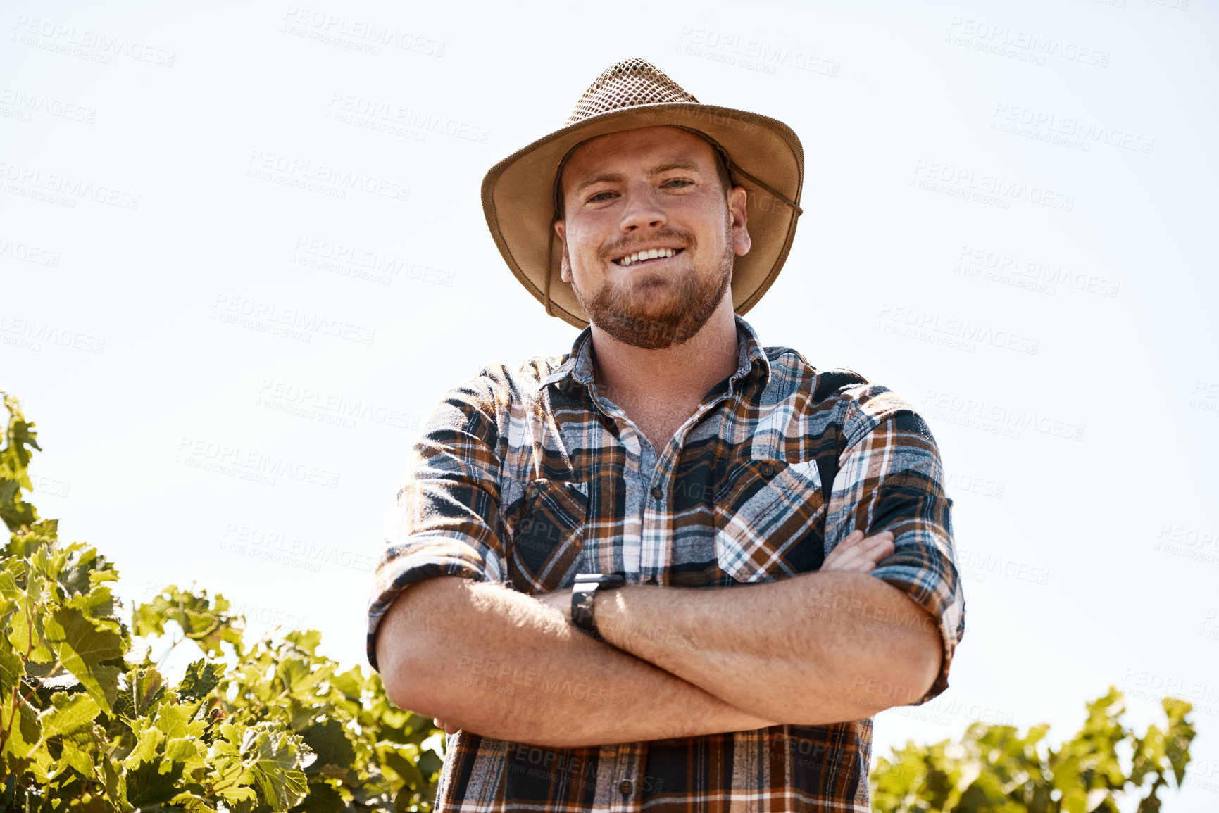 Buy stock photo Portrait of a farmer standing in a vineyard
