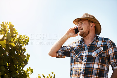 Buy stock photo Shot of a farmer talking on a cellphone in a vineyard