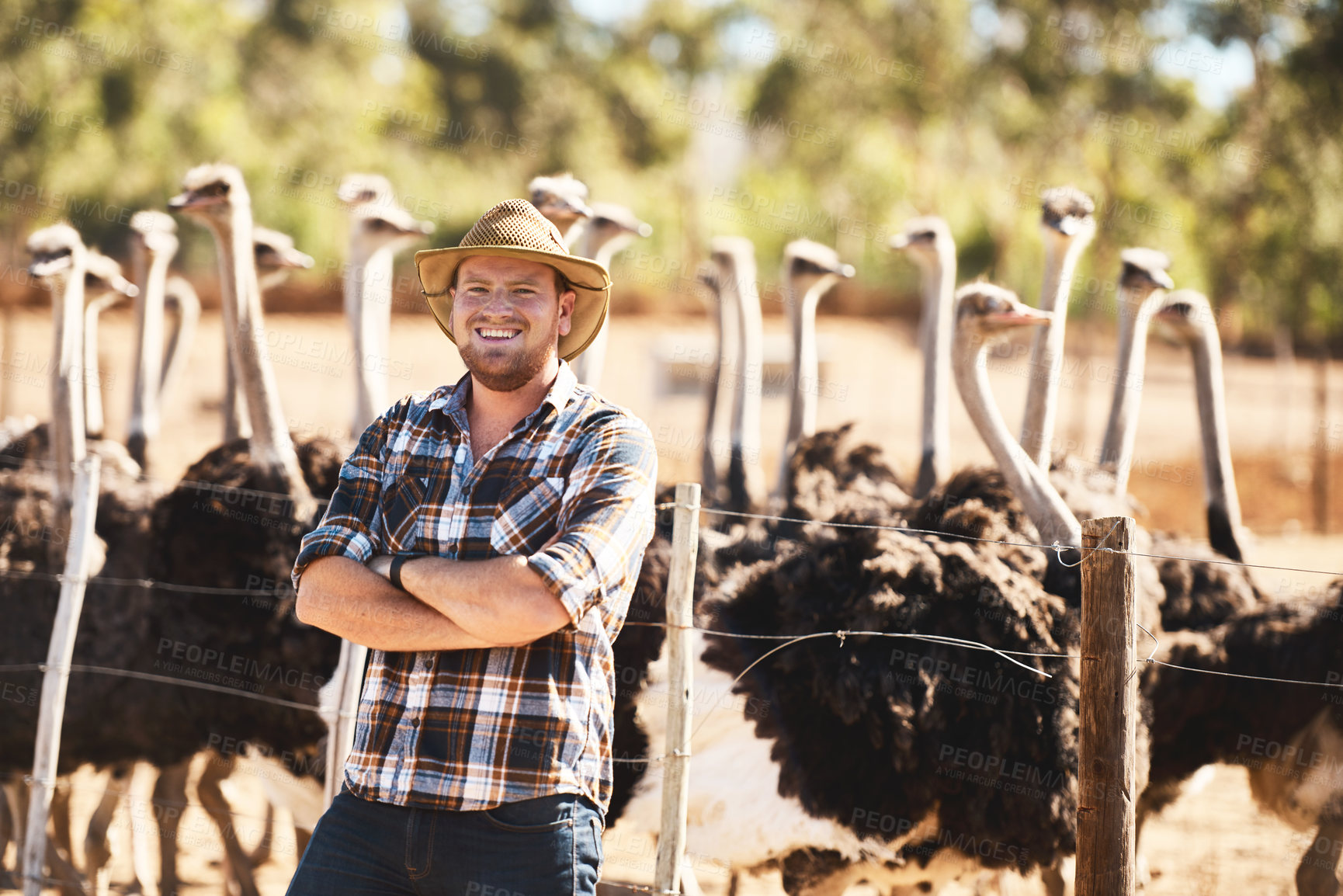 Buy stock photo Portrait of a man working in an ostrich farm