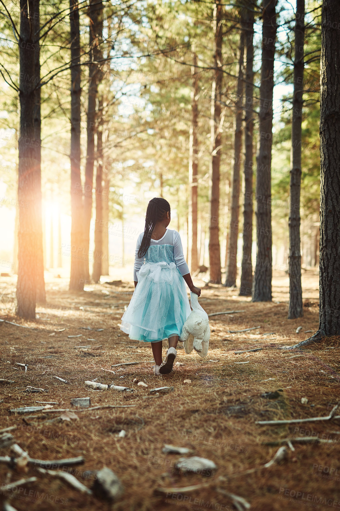 Buy stock photo Rear view shot of a little girl walking in the woods with her teddybear