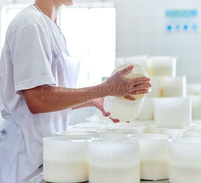 Buy stock photo Cheese, factory and hands of person with container of milk, mozzarella and manufacturing process. Sustainable farming, small business and dairy worker in industrial kitchen for craft food production