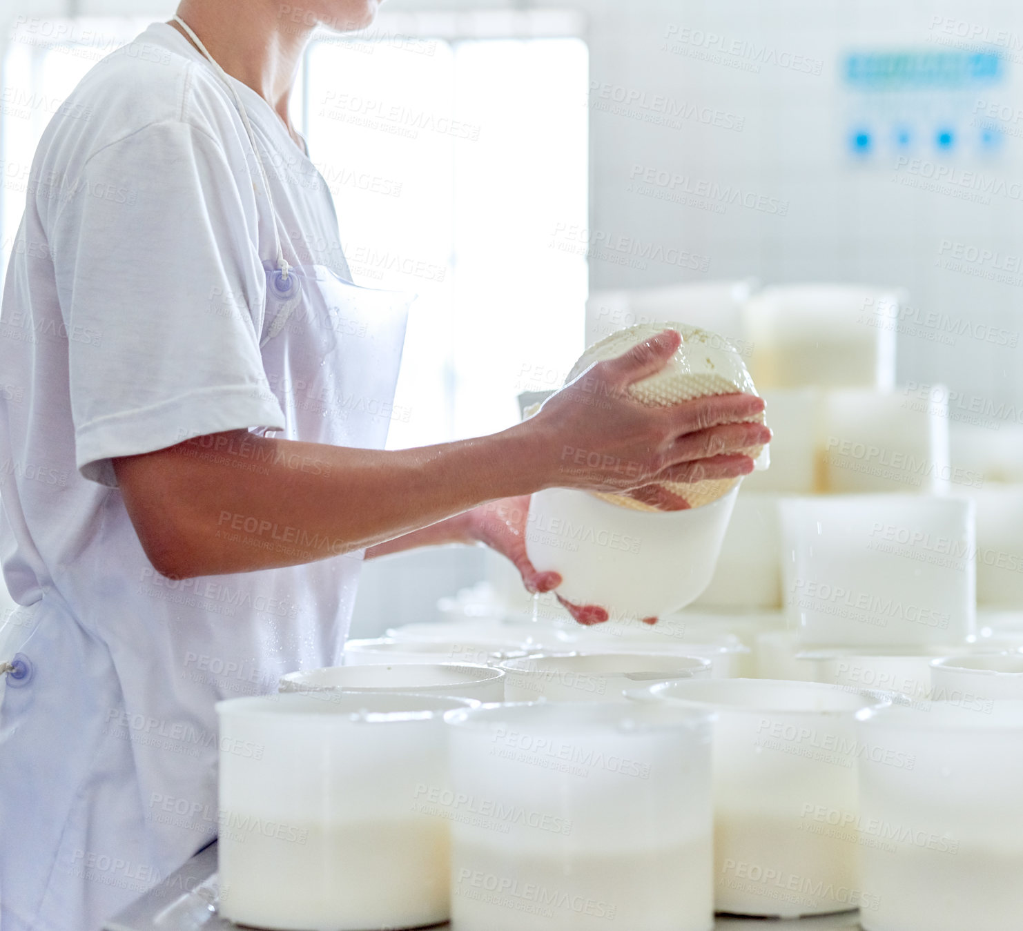 Buy stock photo Cheese, factory and hands of person with container of milk, mozzarella and manufacturing process. Sustainable farming, small business and dairy worker in industrial kitchen for craft food production