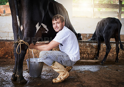 Buy stock photo Man, portrait and milking a cow in barn for sustainable farming, agriculture and dairy production. Farmer, person and animal livestock with smile for agro business, manufacturing and distribution