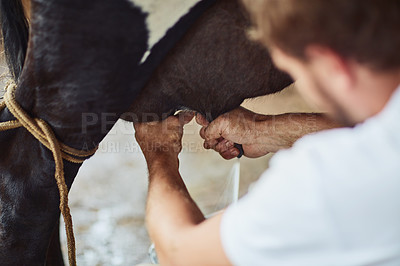 Buy stock photo Rearview shot of an unrecognizable male farmer milking a cow inside a barn